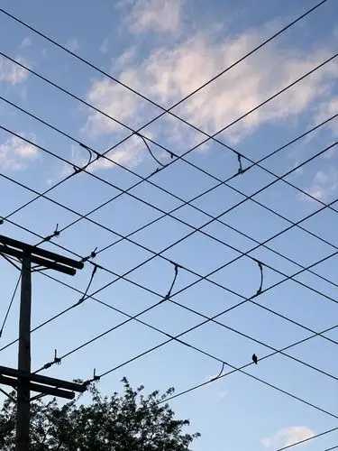 Wired world, endless sky.